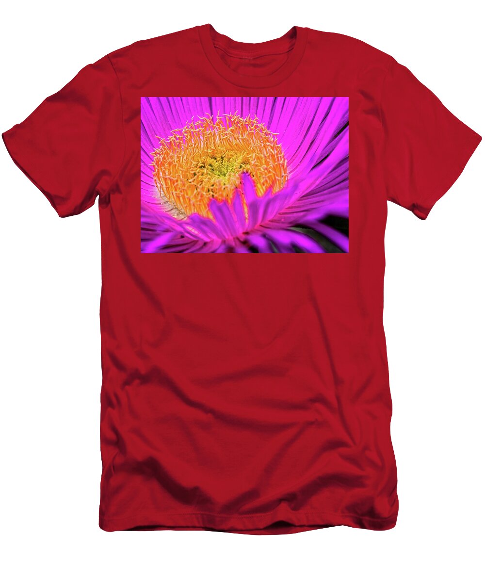 Cactus Flower T-Shirt featuring the photograph Cactus Flower by Al Fio Bonina