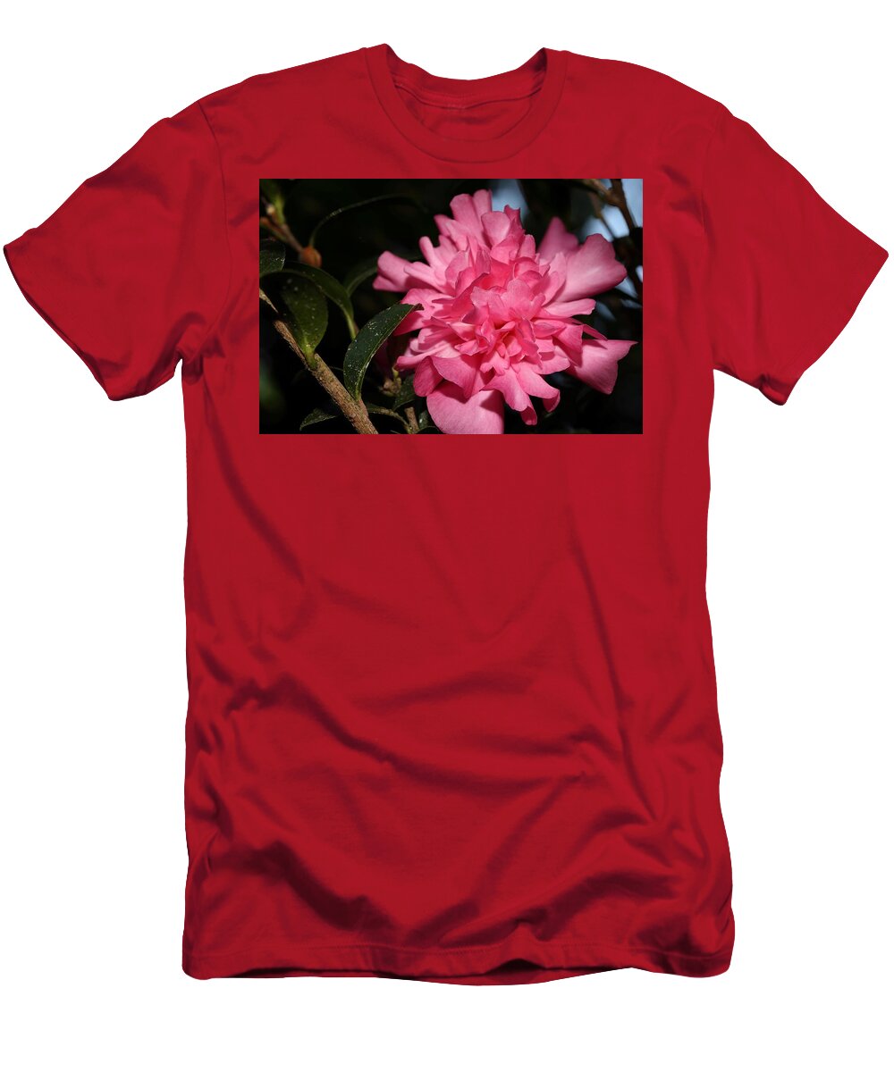 Camellia T-Shirt featuring the photograph Camellia IV by Mingming Jiang