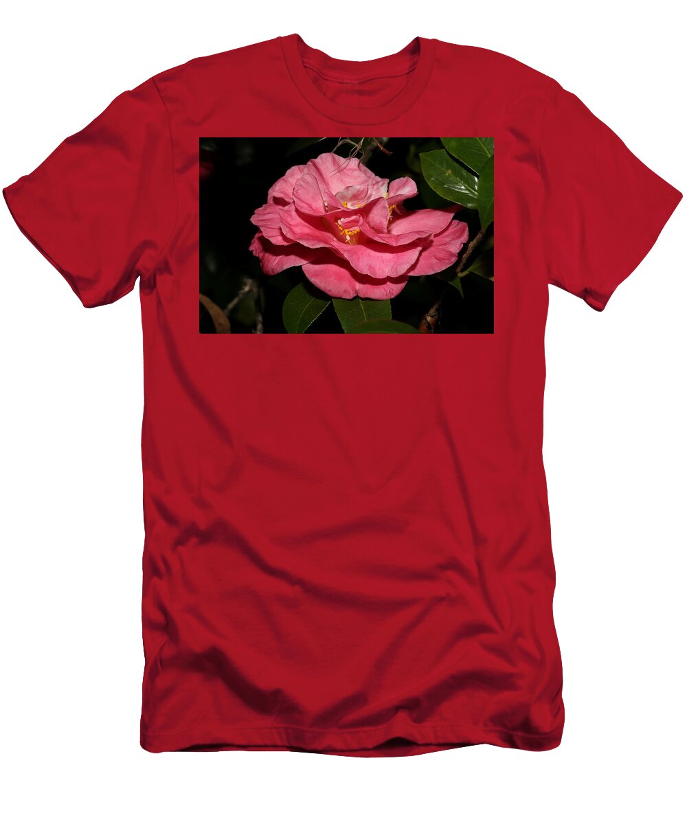 Camellia T-Shirt featuring the photograph Camellia XII by Mingming Jiang
