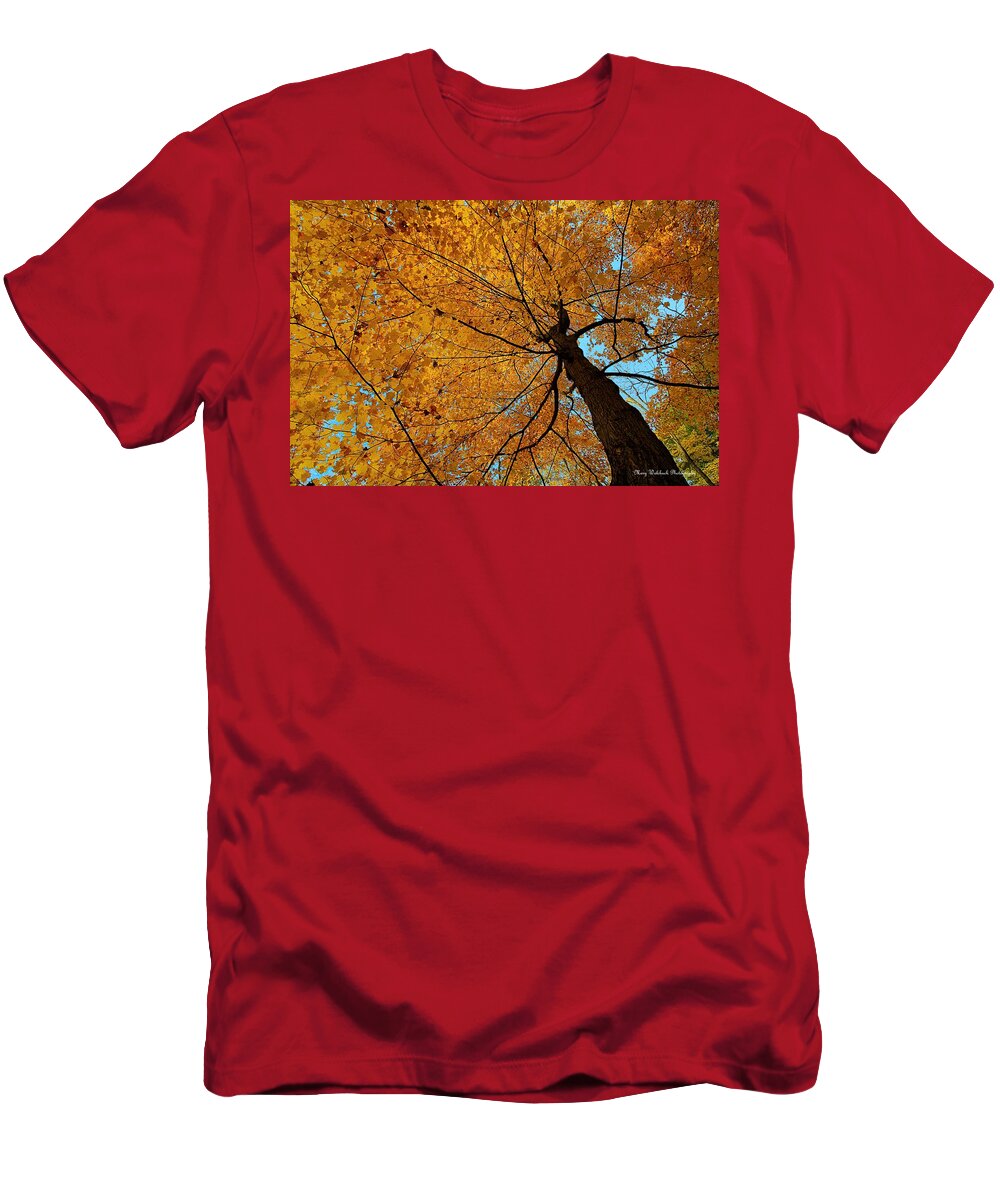 Autumn Leaves T-Shirt featuring the photograph Canopy of Color by Mary Walchuck