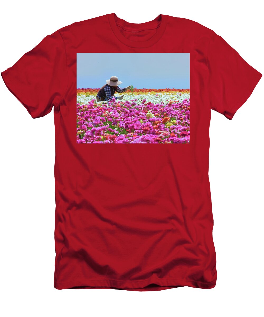 Carlsbad Flower Fields T-Shirt featuring the photograph Carlsbad Flower Fields California No. 3 by Ram Vasudev