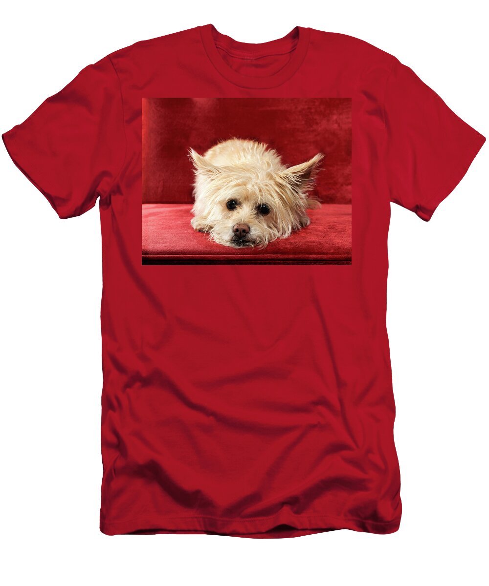 Cassie T-Shirt featuring the photograph Cassie 7 by Rebecca Cozart