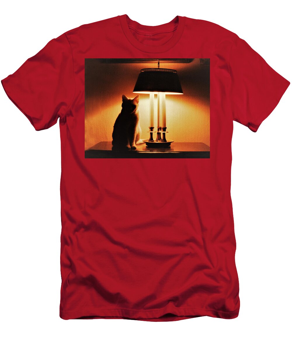 Cat Lamp Desk Light Shadow T-Shirt featuring the photograph Cat Lamp by John Linnemeyer