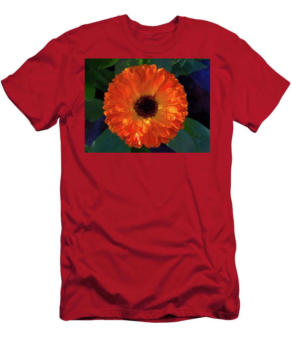 Beautiful T-Shirt featuring the photograph Circular Orange Blossom by David Desautel