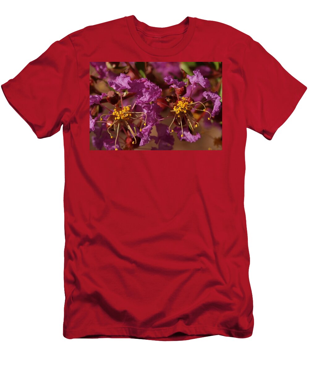 Crap Myrtle T-Shirt featuring the photograph Close-up of Crap Myrtle Flowers by Mingming Jiang