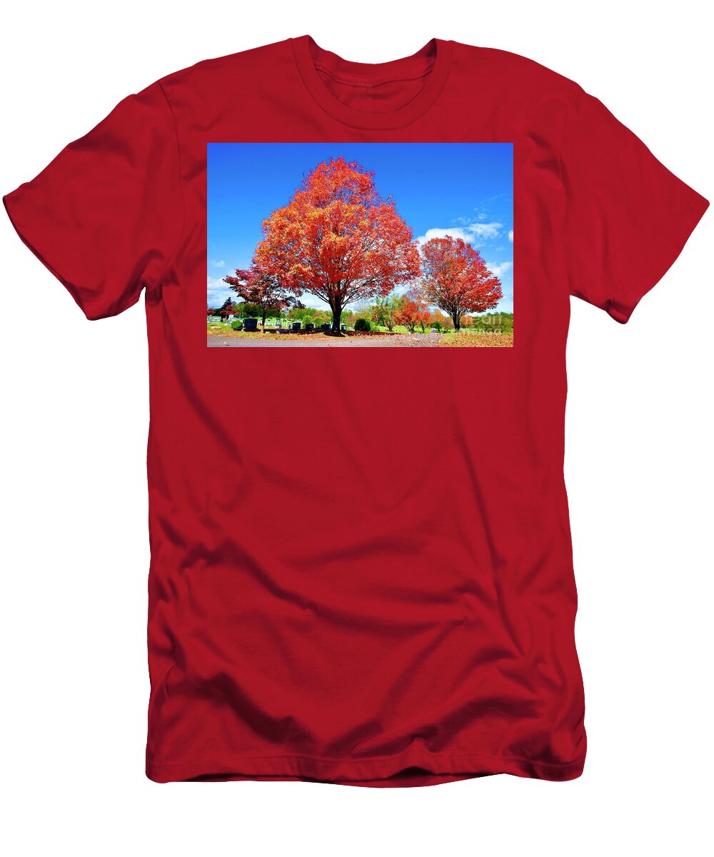 Culpeper Cemetery T-Shirt featuring the photograph Culpeper Cemetery In In Fall by The James Roney Collection