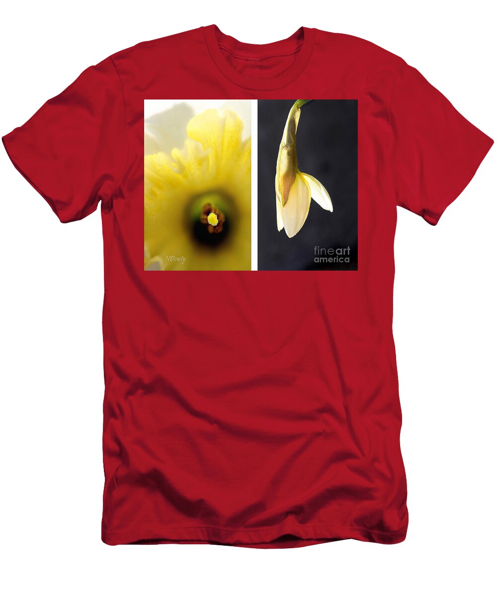 Daffodil Yin-yang T-Shirt featuring the photograph Daffodil Yin-Yang by Natalie Dowty