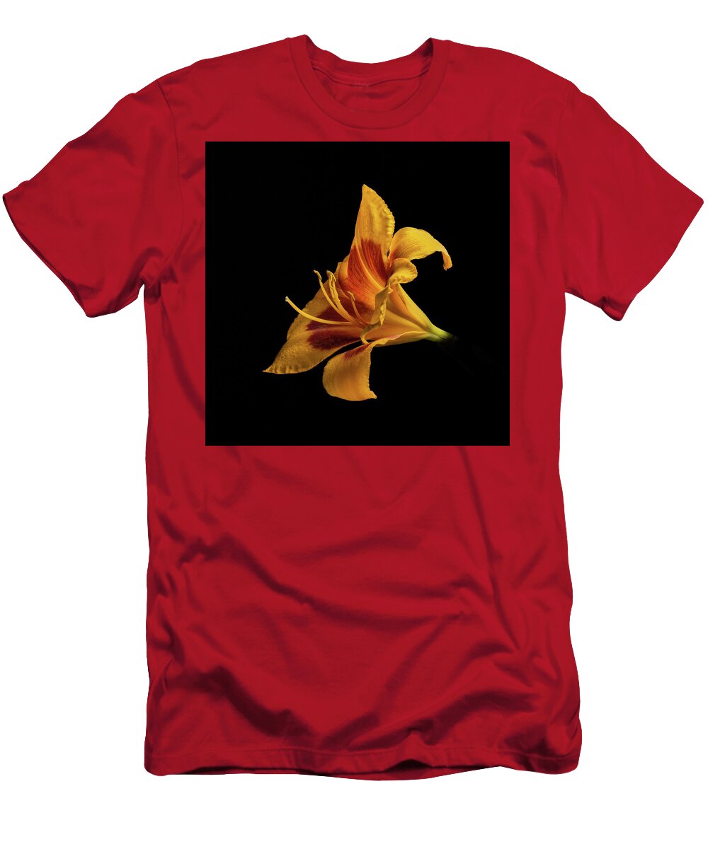 Hemerocallis Fulva T-Shirt featuring the photograph Daylily at Night by Kevin Suttlehan