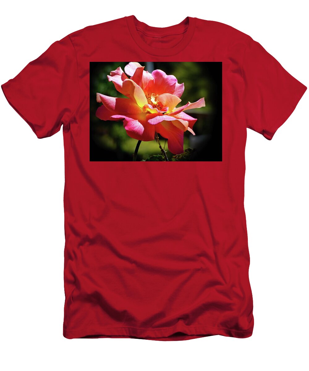 Rose T-Shirt featuring the photograph Delicate Gorgeous Pinata Rose by Lyuba Filatova