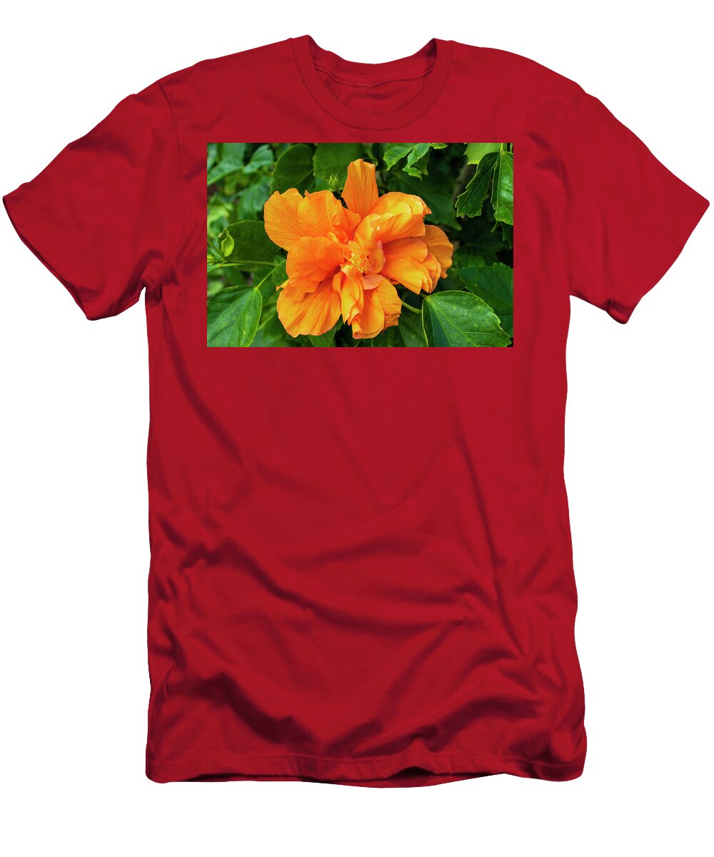 Hibiscus T-Shirt featuring the photograph Double Orange Hibiscus Flower by Blair Damson