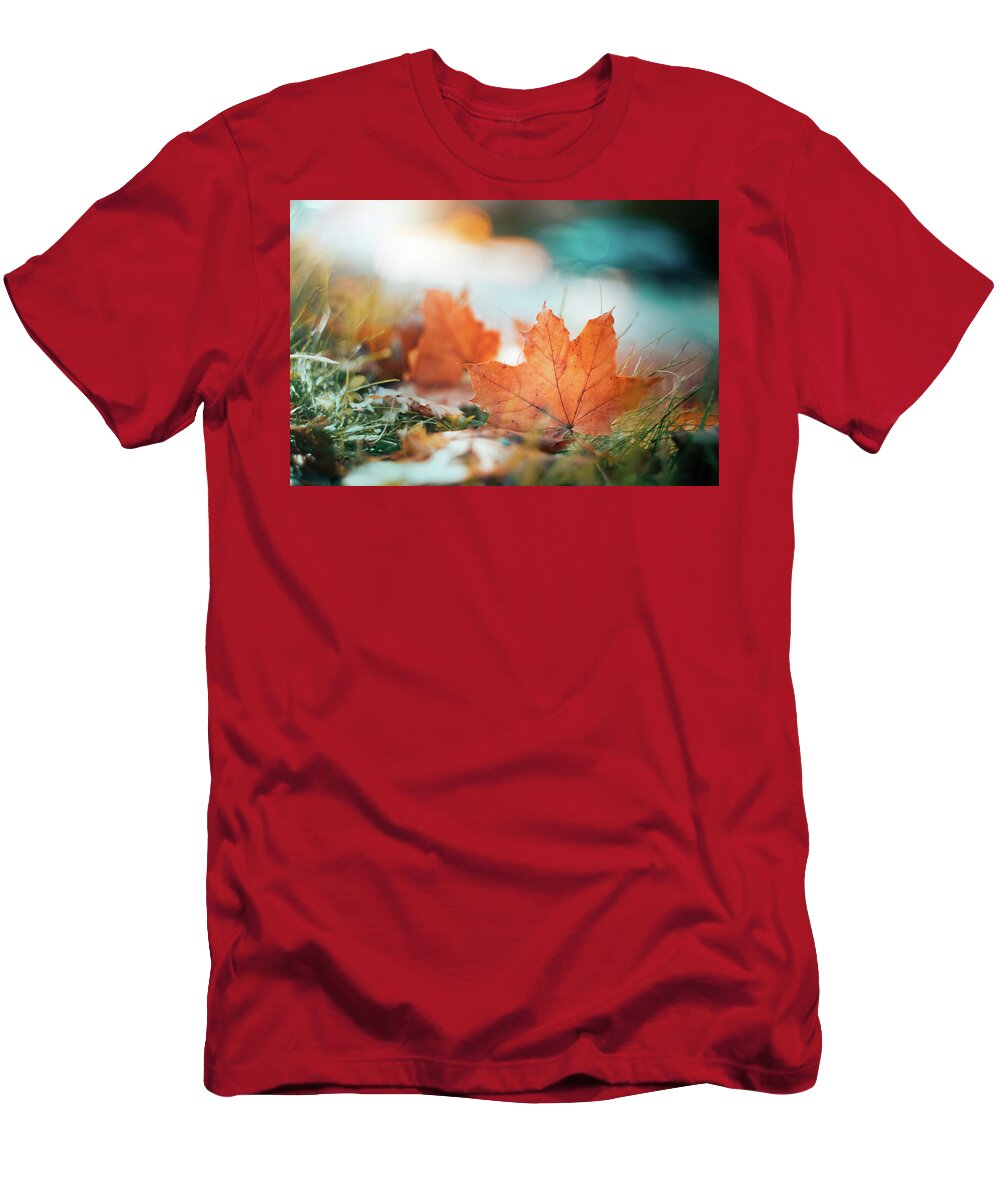 Leaf T-Shirt featuring the photograph Fall Bokeh by Scott Norris