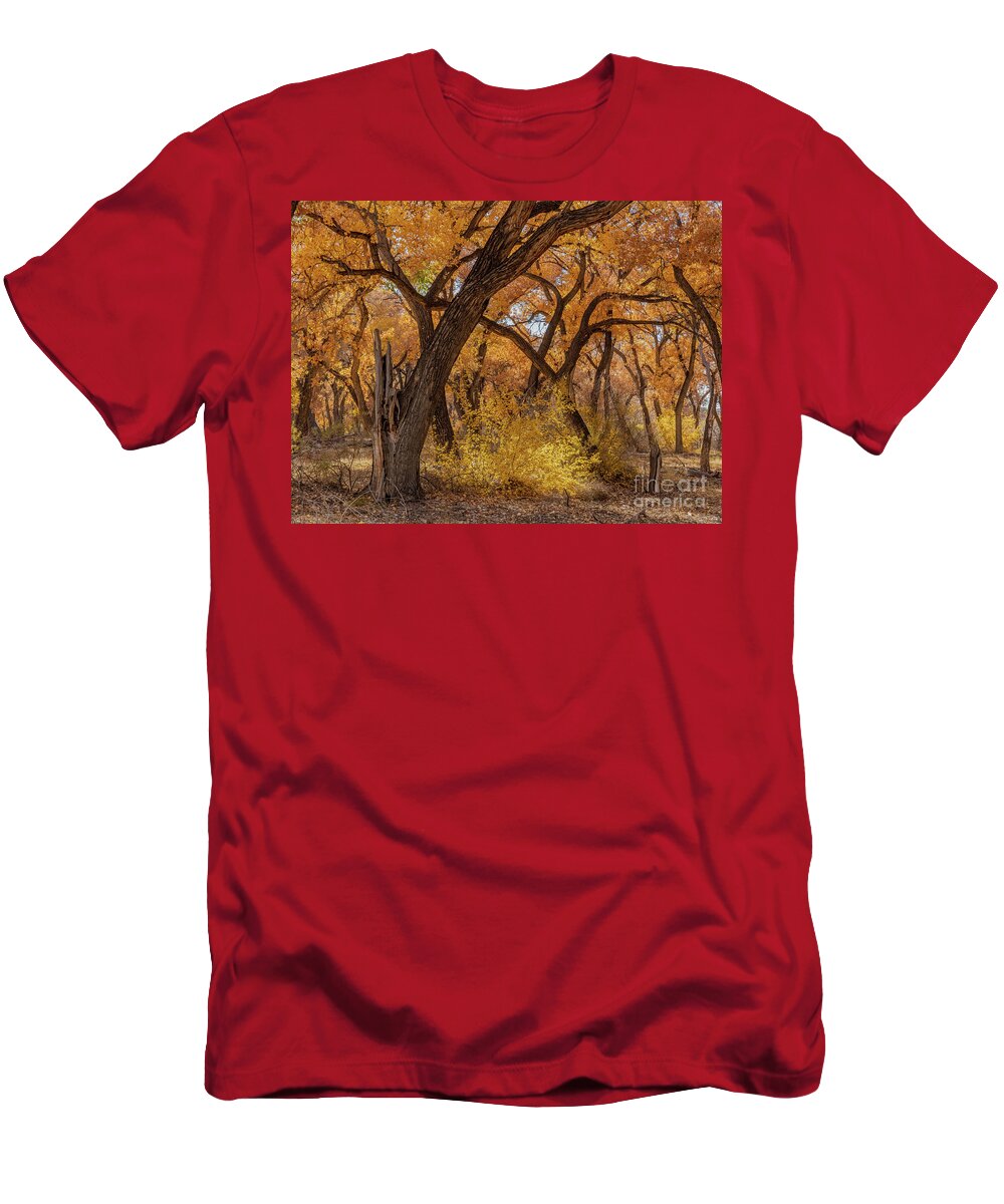 Fall T-Shirt featuring the photograph Fall in the Bosque by Seth Betterly