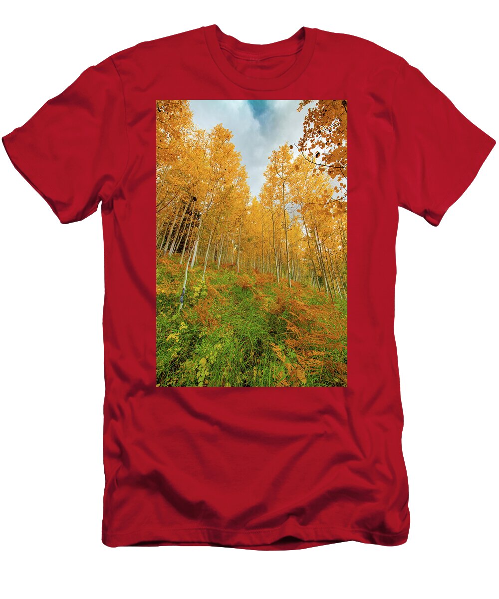 Aspens T-Shirt featuring the photograph Ferns and Aspens by David Downs