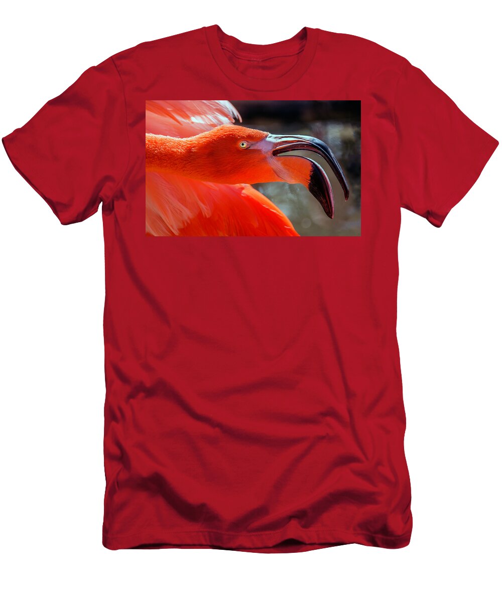 Flamingo T-Shirt featuring the photograph Pink Flamingo by WAZgriffin Digital