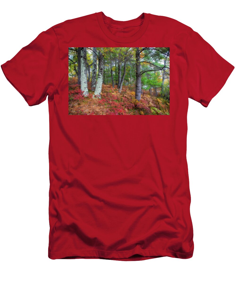 Michigan T-Shirt featuring the photograph Forest Floor in Autumn by Robert Carter