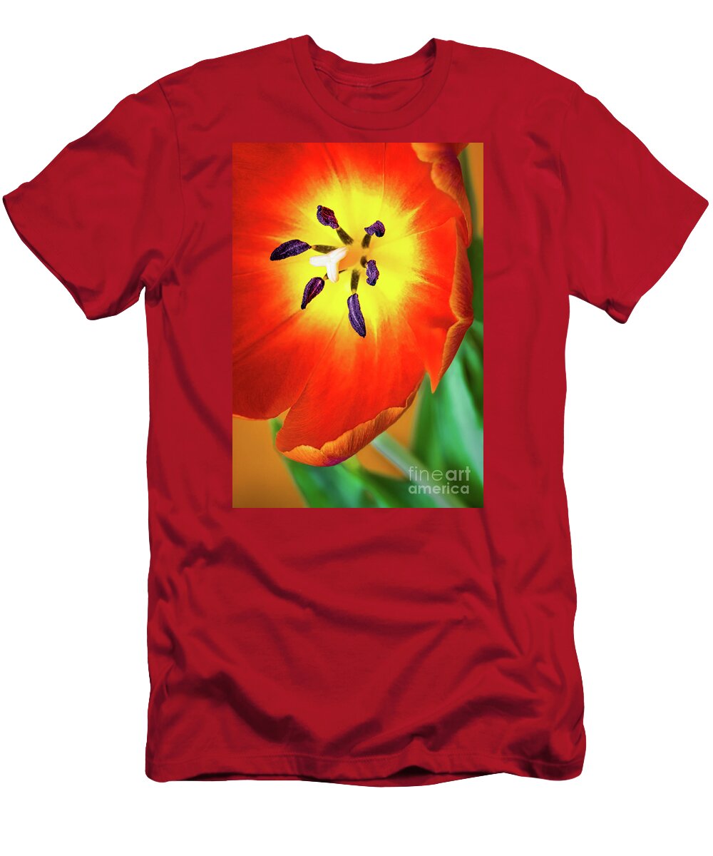 Flowers T-Shirt featuring the pyrography Garden tulip Macro by Joseph Miko