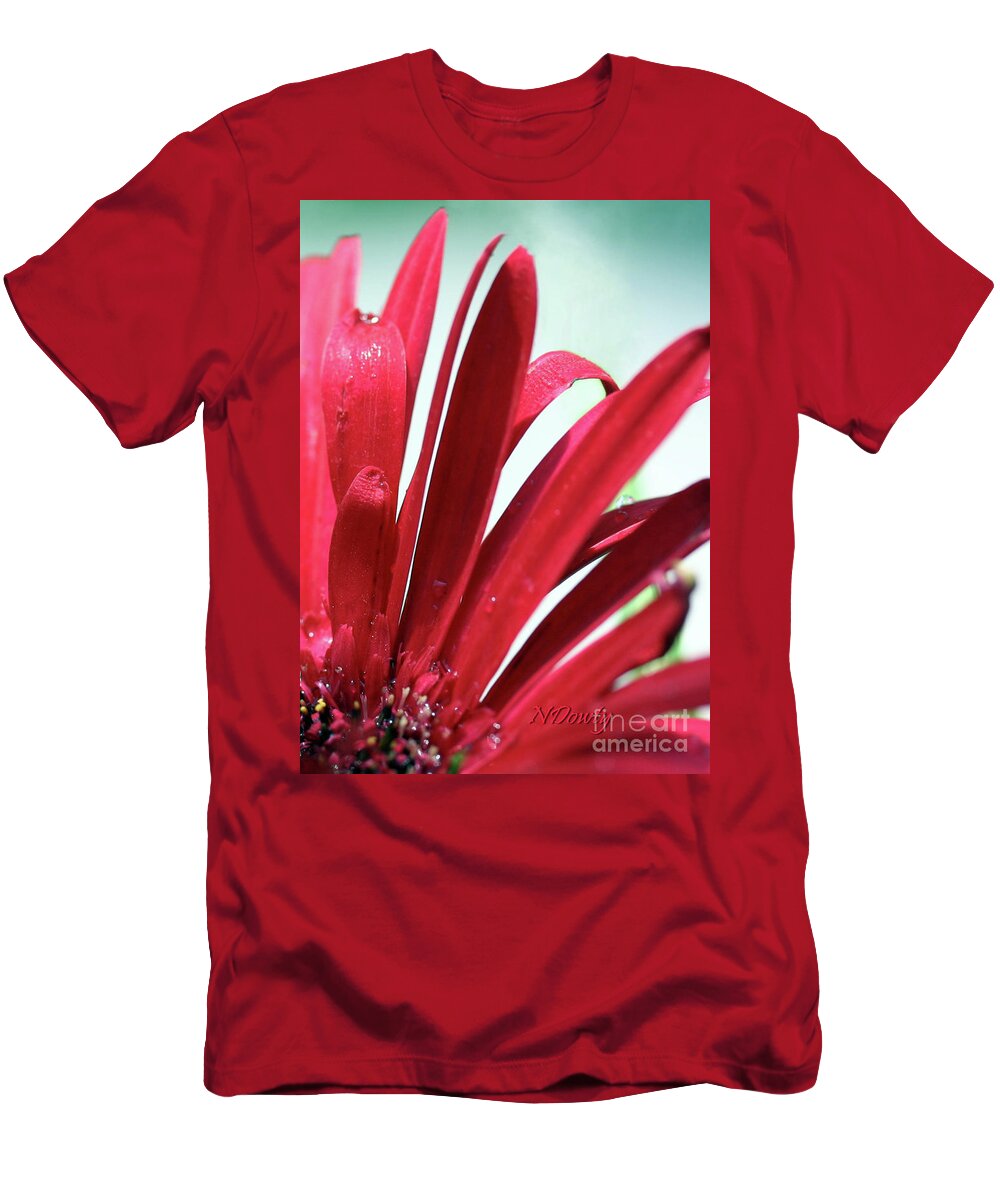 Gerber Feathers T-Shirt featuring the photograph Gerber Feathers by Natalie Dowty