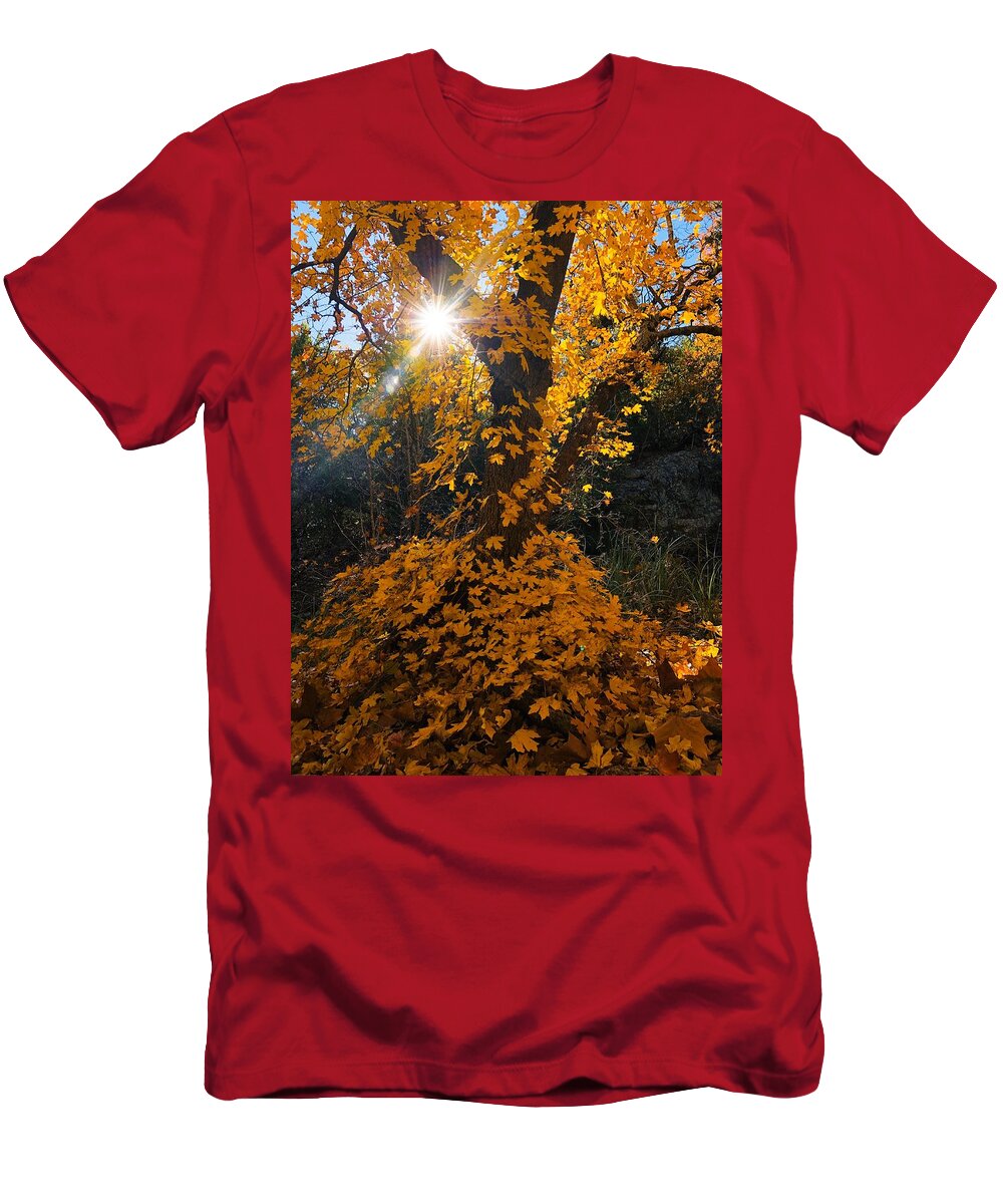 Autumn T-Shirt featuring the photograph Glistening Golden Skirted Tree by Doris Aguirre
