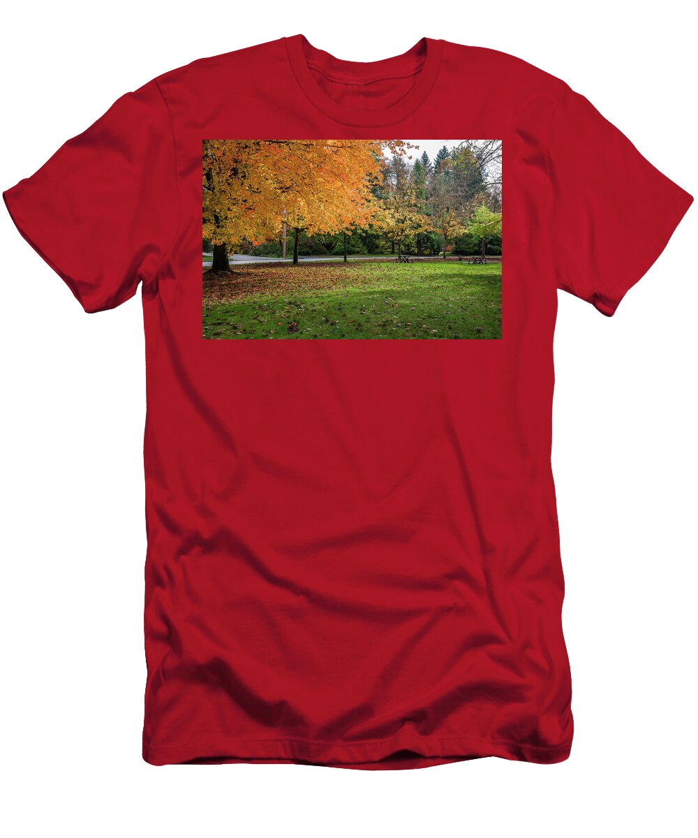 Alex Lyubar T-Shirt featuring the photograph Golden autumn in the park by Alex Lyubar