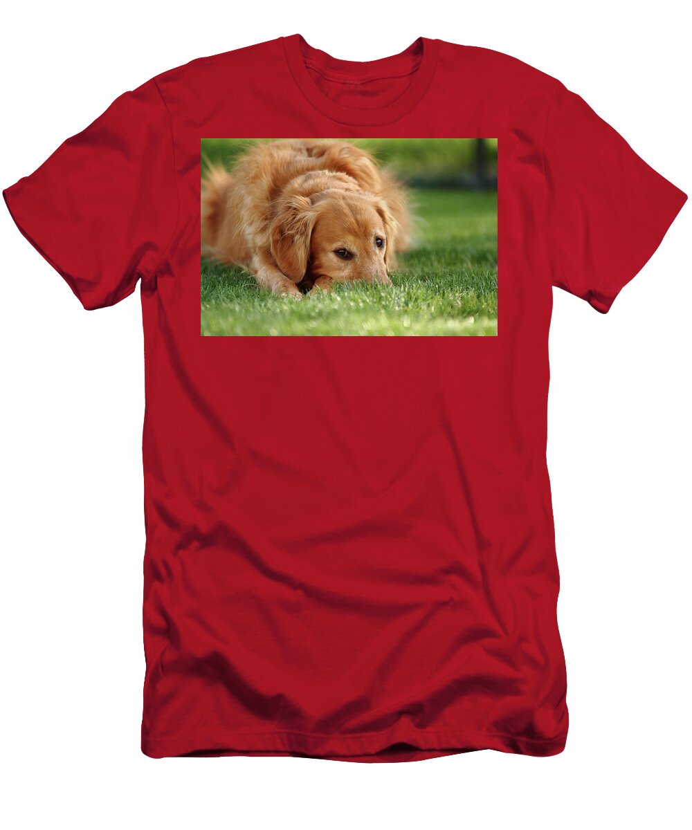 Dog T-Shirt featuring the photograph Grassy Golden by Lens Art Photography By Larry Trager