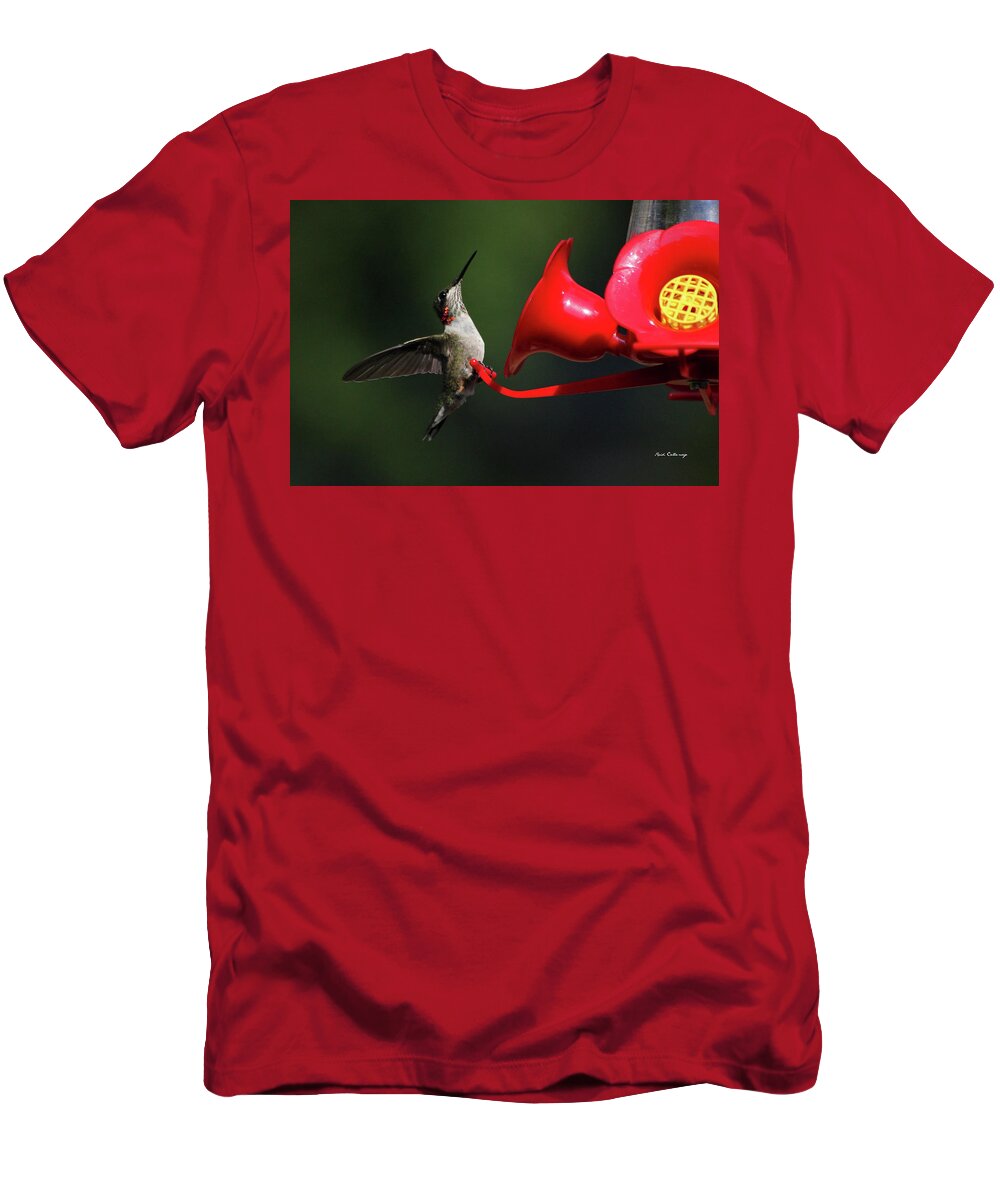 Birds T-Shirt featuring the photograph Hummingbird Wars Look Out 3 Bird Wildlife Art by Reid Callaway