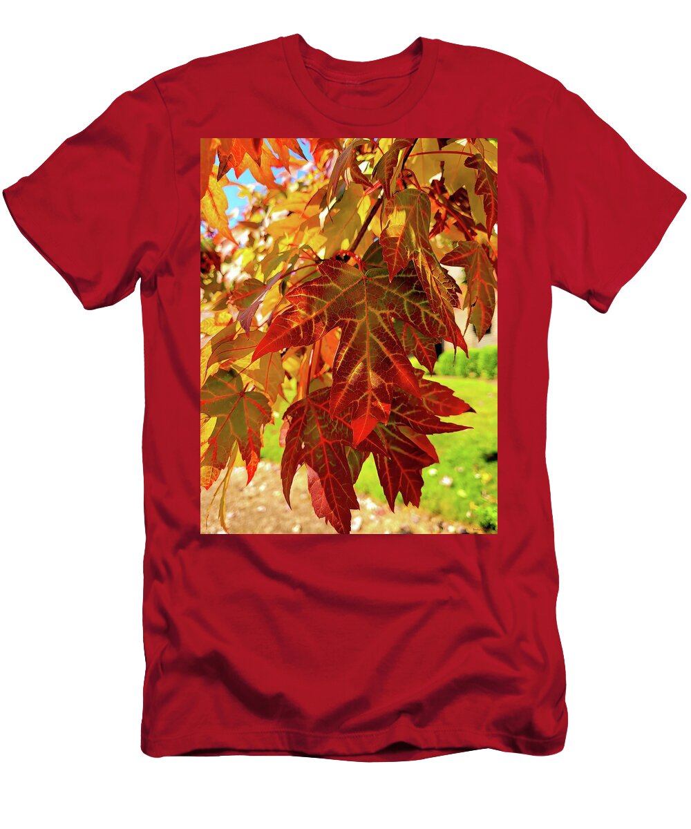 Leaves T-Shirt featuring the photograph It Is Time by Roberta Byram