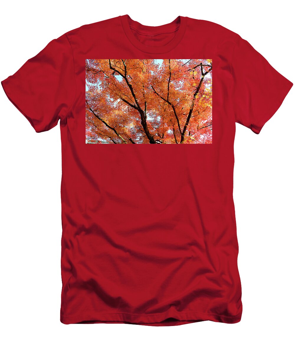  T-Shirt featuring the photograph Japan 57 by Eric Pengelly