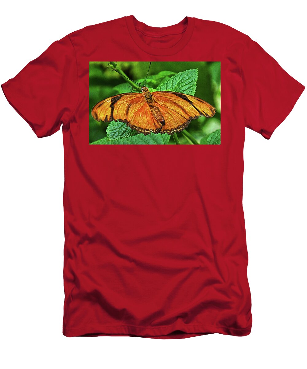 Butterfly T-Shirt featuring the photograph Julia Heliconian by Bill Barber