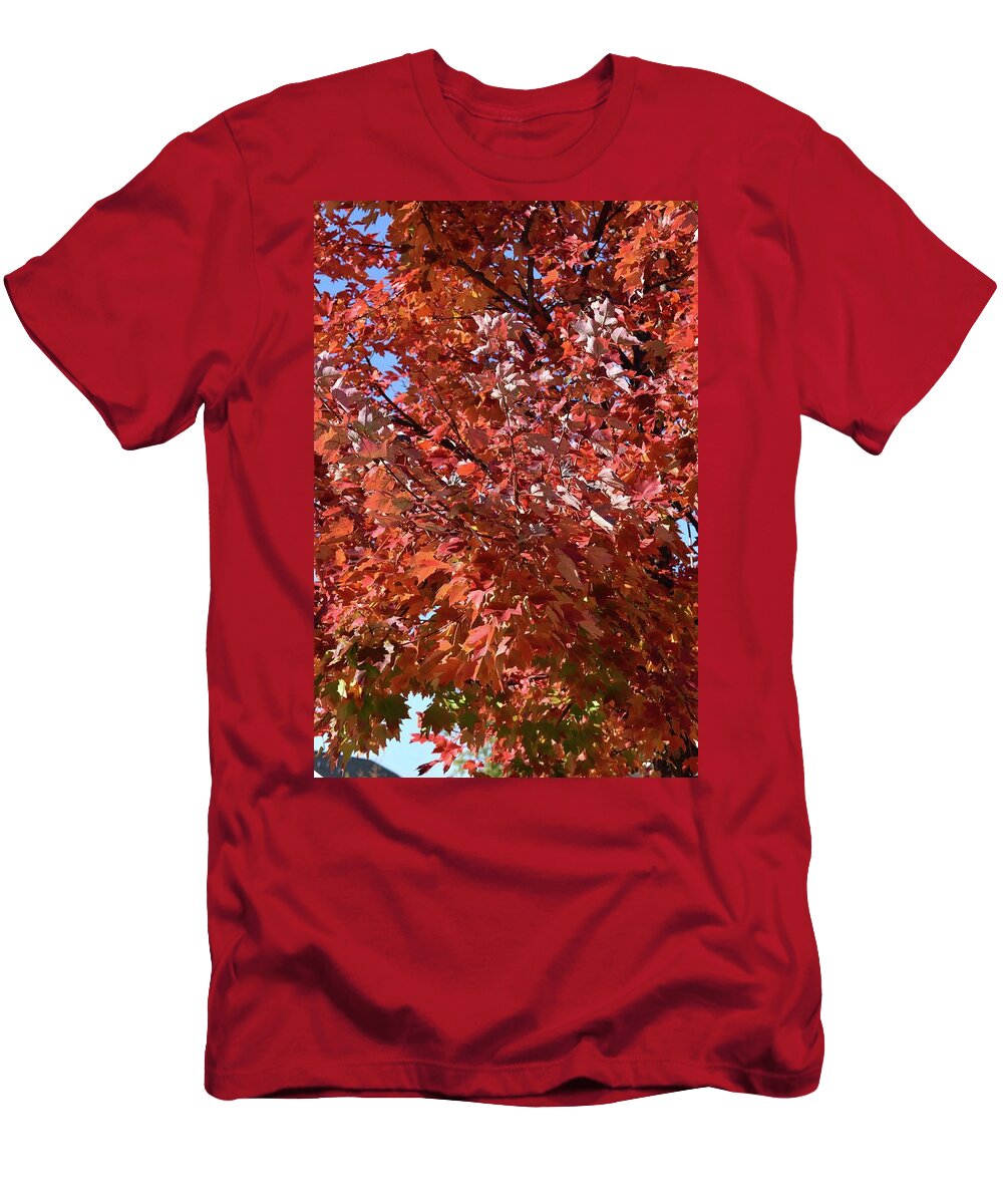 Tree T-Shirt featuring the photograph Let Us Get Lost by Roberta Byram