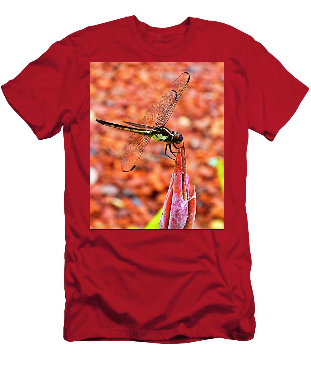 Dragonfly T-Shirt featuring the photograph Lovely Dragonfly by Bill Barber