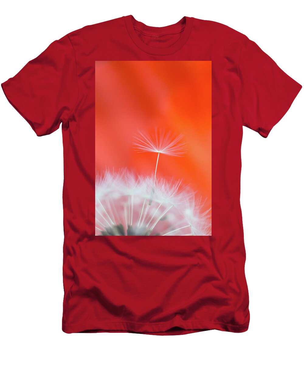 Ideas T-Shirt featuring the photograph Make a Wish - on Red by Anita Nicholson