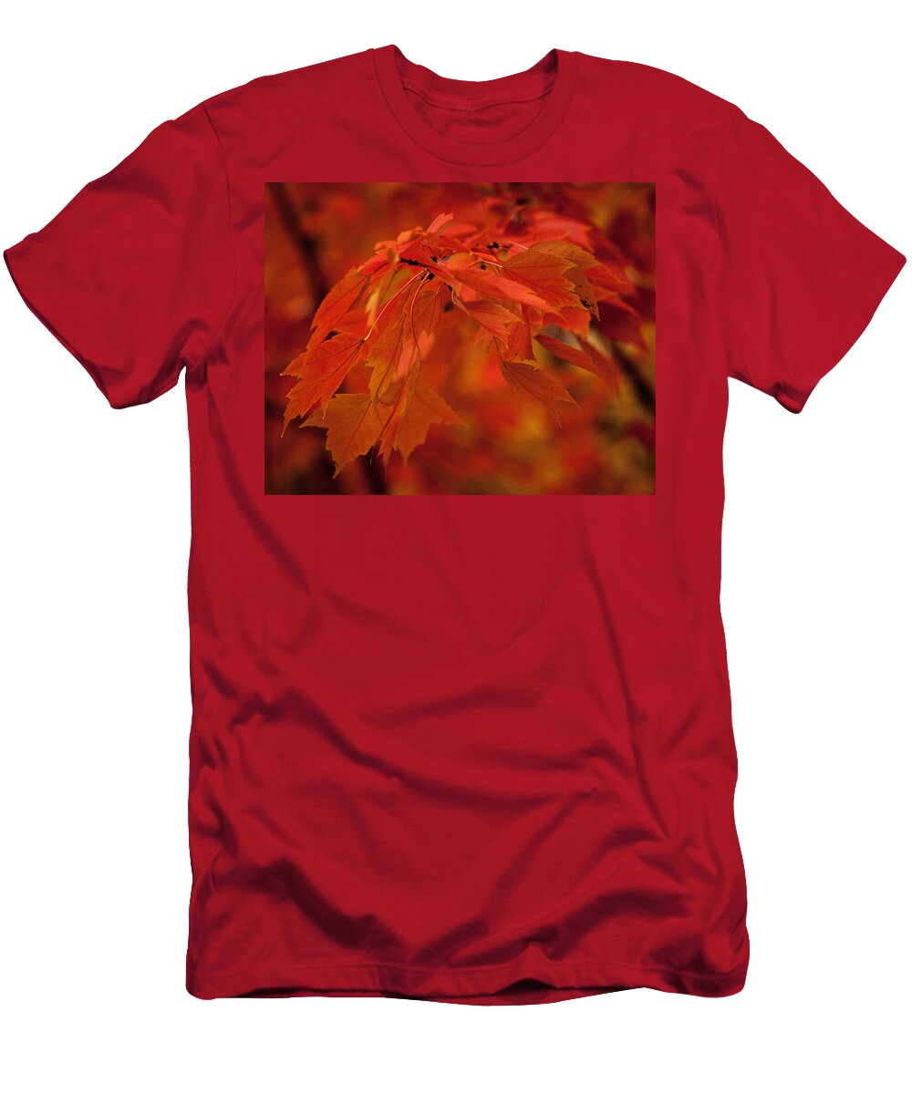 Autumn T-Shirt featuring the photograph Maple Leaves I by Norman Reid