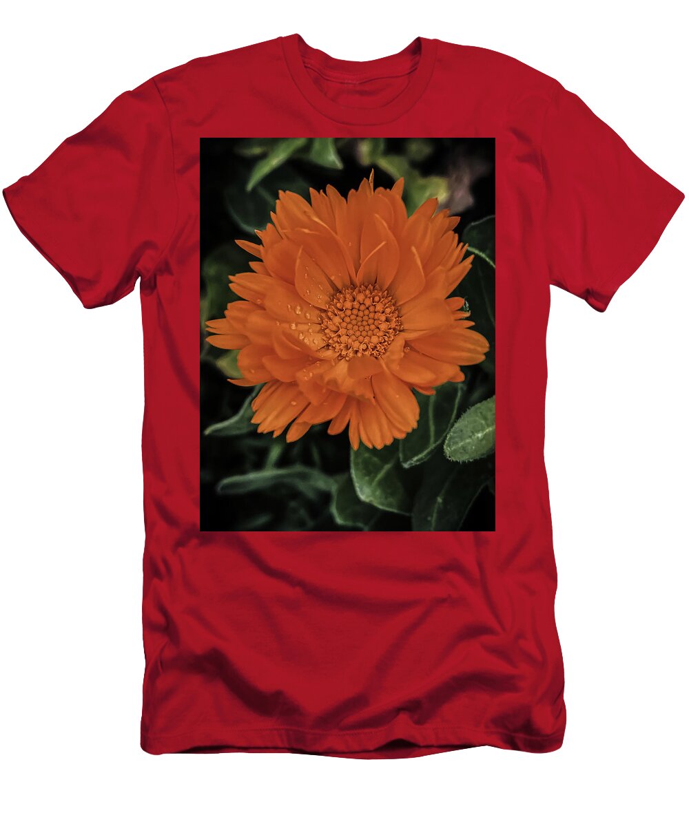 Flower T-Shirt featuring the photograph Marigold by Anamar Pictures