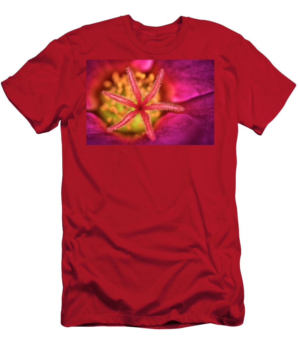 Flowers T-Shirt featuring the photograph Moss Rose 2 by Robert Fawcett