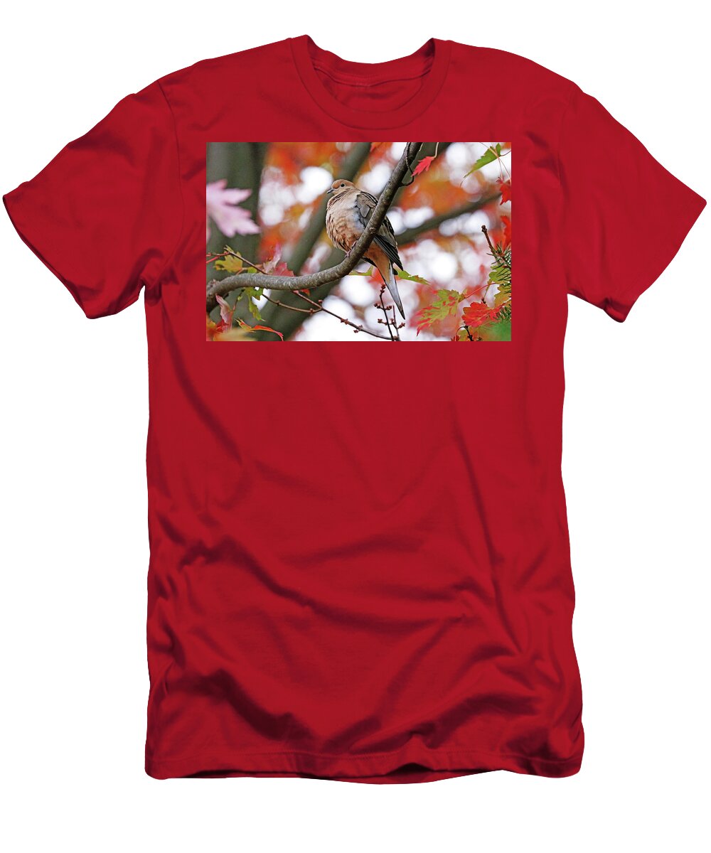 Dove T-Shirt featuring the photograph Mourning Dove In Fall Maple Tree by Debbie Oppermann