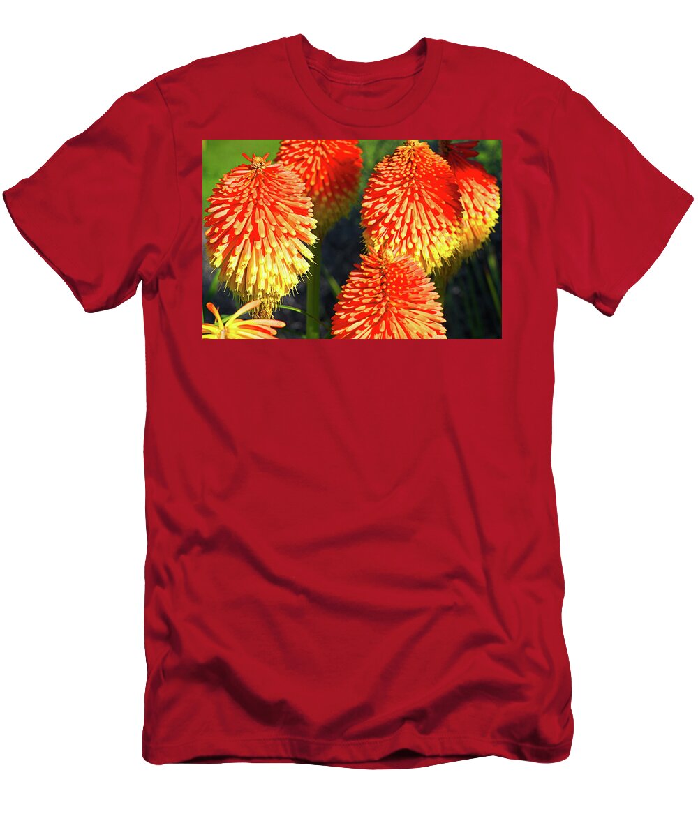 Blooming T-Shirt featuring the photograph Orange And Yellow Blossoms by David Desautel