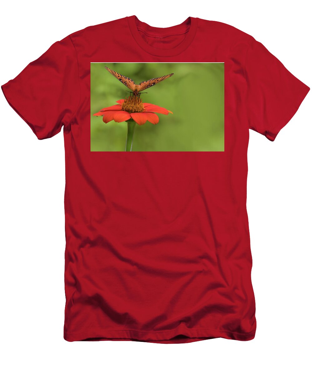 Butterfly T-Shirt featuring the photograph Orange You Hungry by Ree Reid