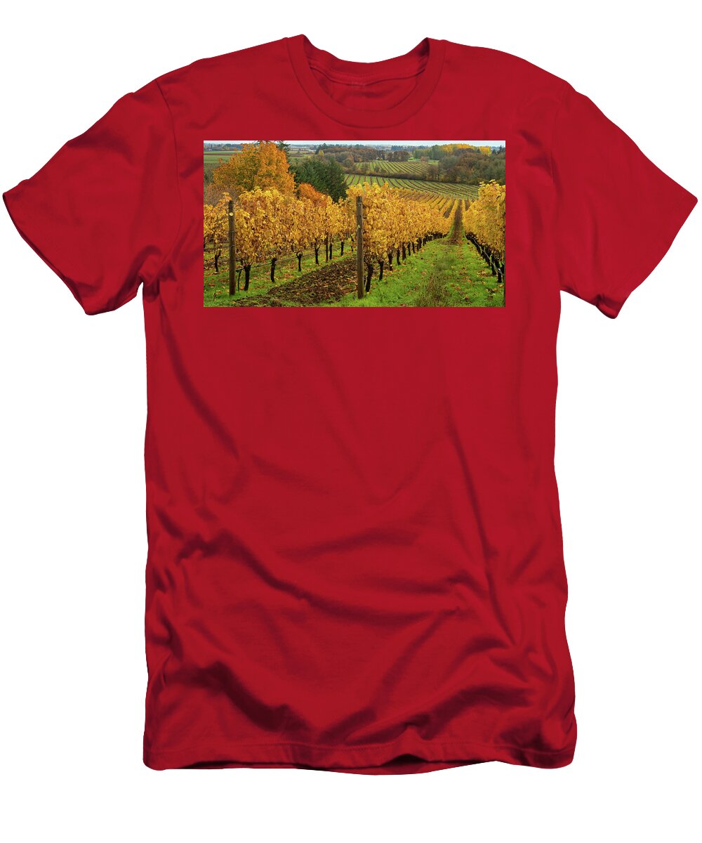 Vineyard T-Shirt featuring the photograph Patterns of Fall in the Vineyard by Leslie Struxness