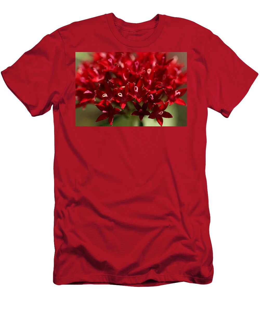 Penta Flower T-Shirt featuring the photograph Red Penta Flowers by Mingming Jiang
