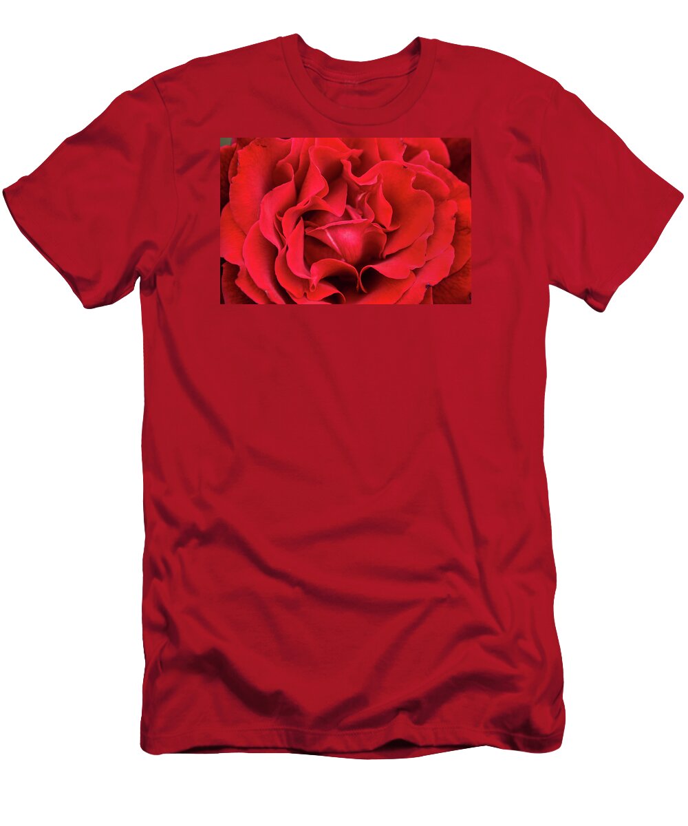 Flower T-Shirt featuring the photograph Petals-Red Rose by Don Johnson