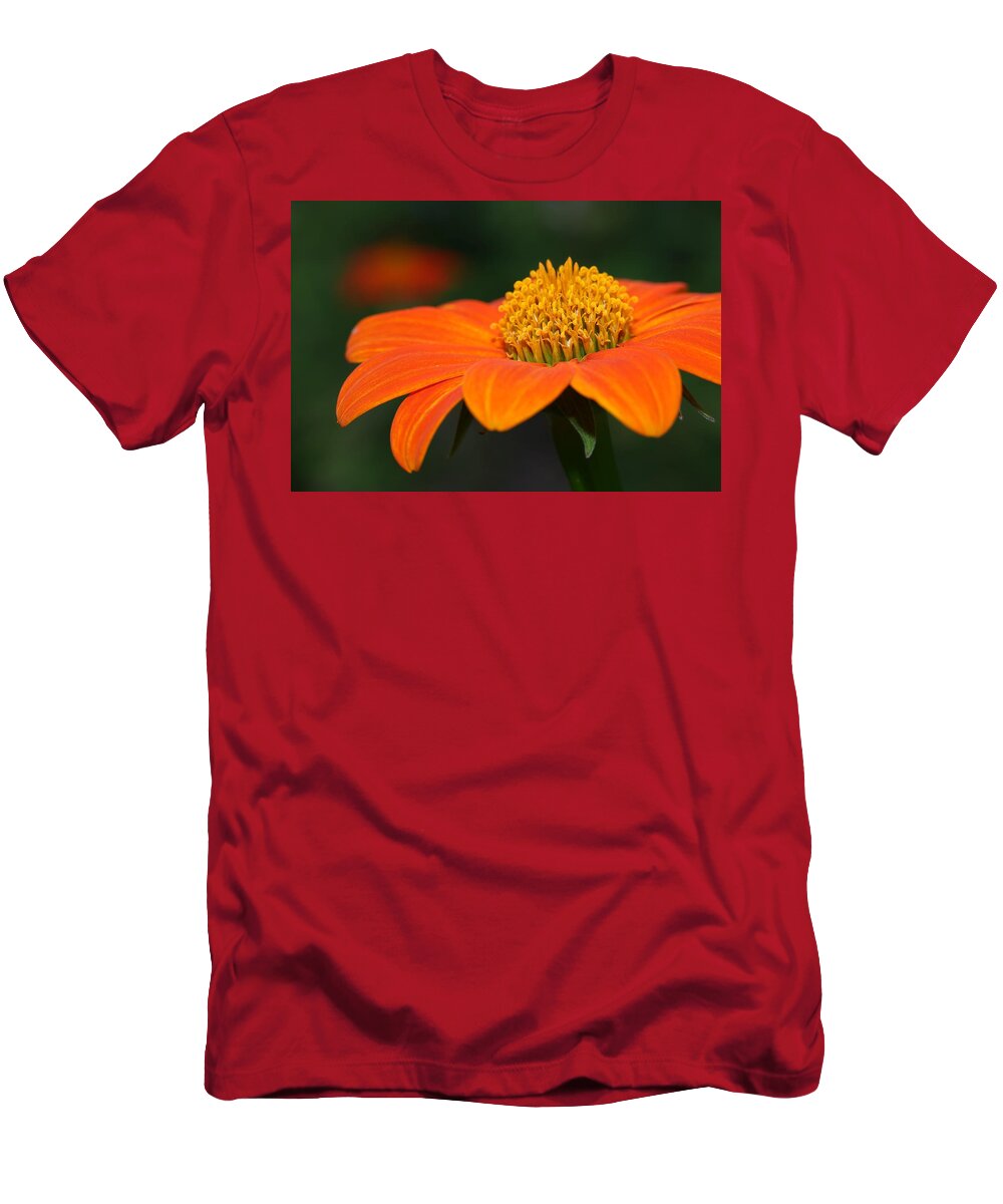 Mexican Sunflower T-Shirt featuring the photograph Pie of Nectar by Mingming Jiang