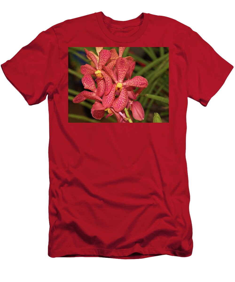 Dakak Resort T-Shirt featuring the photograph Pink And Yellow Orchid by David Desautel