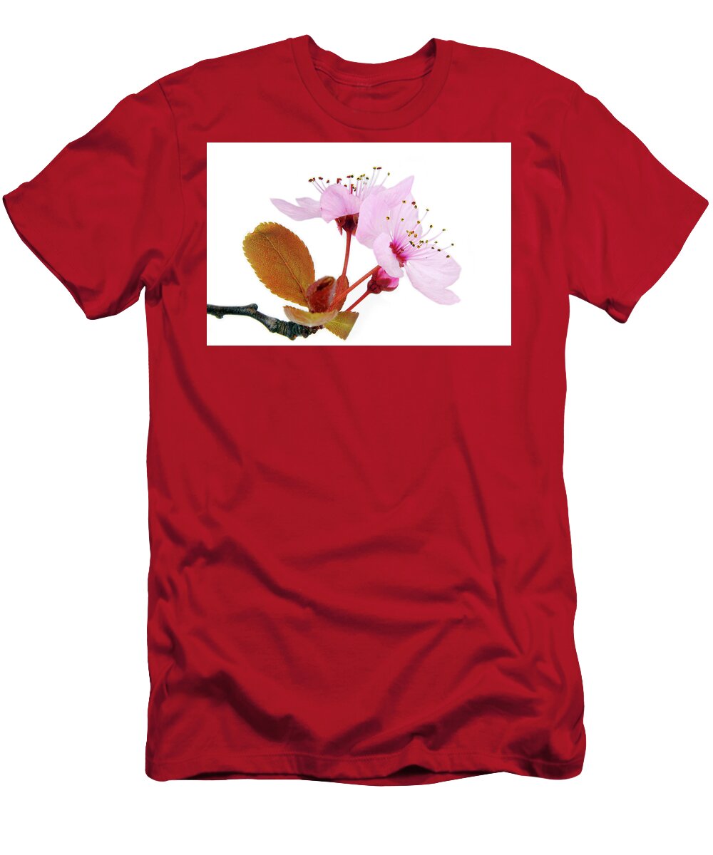 Cherry T-Shirt featuring the photograph Pink Blossom On Twig Isolated On White by Severija Kirilovaite