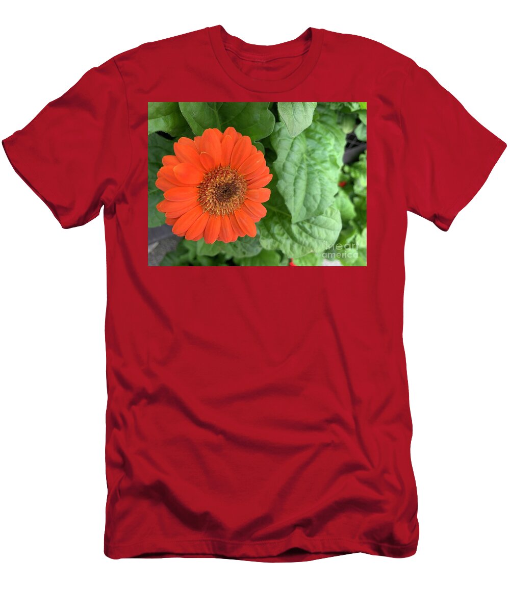 Flowers T-Shirt featuring the photograph Proud Orange Flower by Catherine Wilson