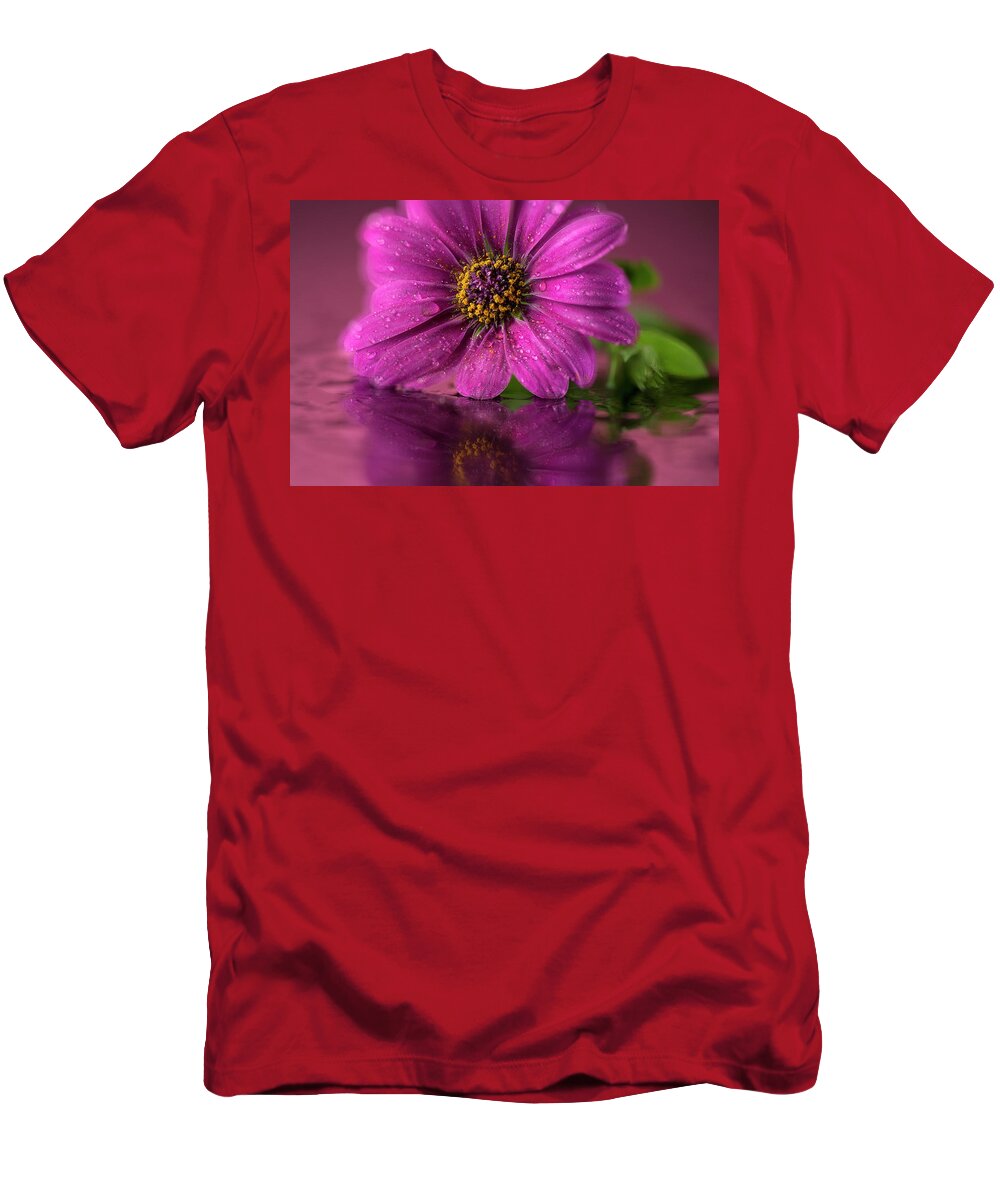 Purple Daisy T-Shirt featuring the photograph Perfect Purple Petals by John Rogers