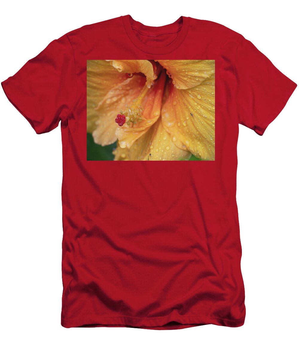 Hibiscus T-Shirt featuring the photograph Rain Kissed by M Kathleen Warren