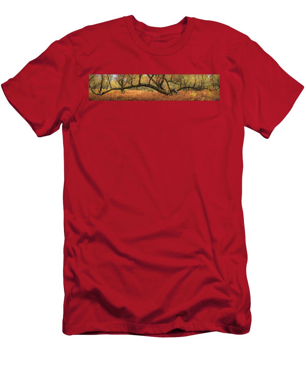 Autumn T-Shirt featuring the photograph Reaching Out Over the Autumn Meadow by Debra and Dave Vanderlaan