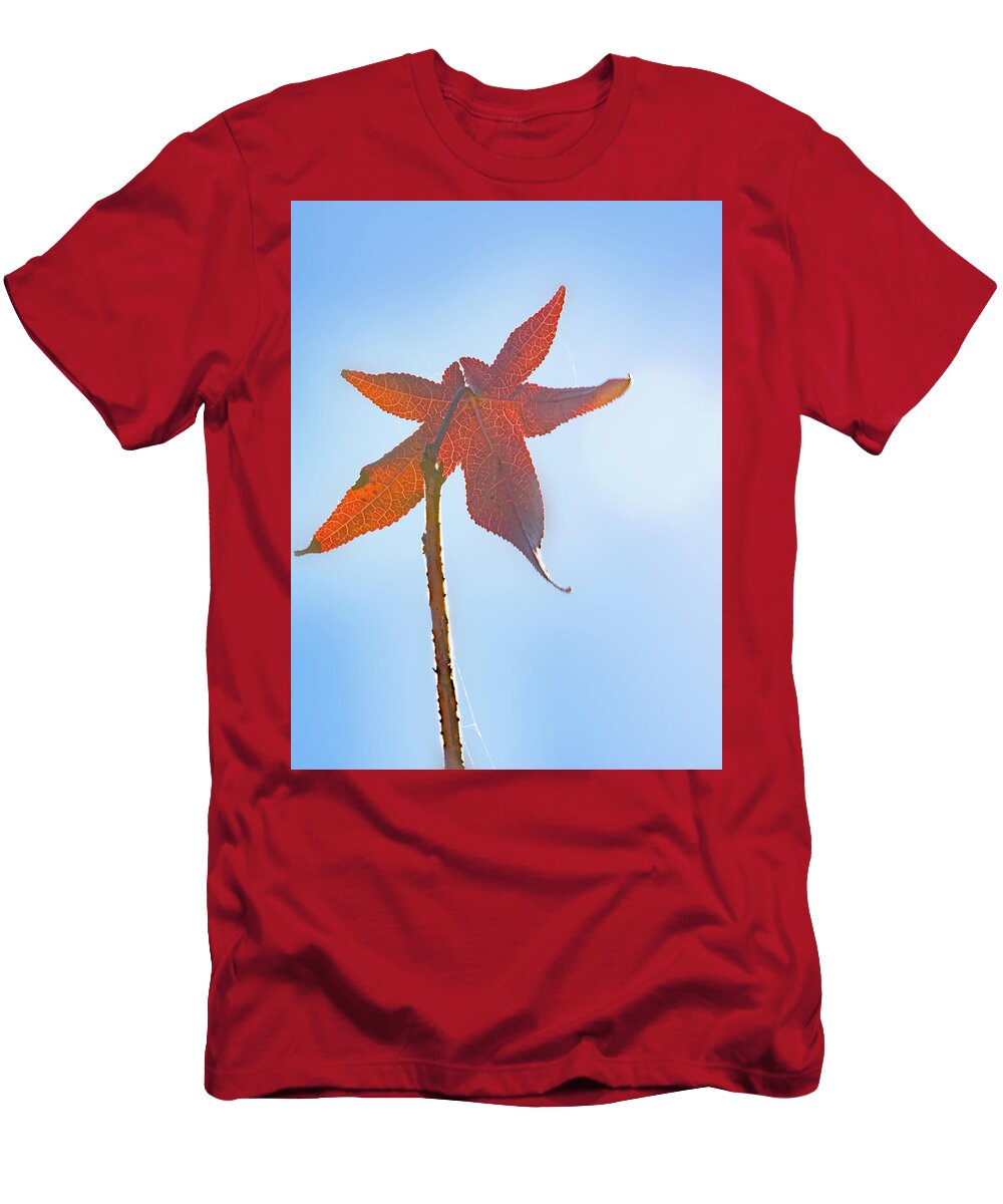 Leaf T-Shirt featuring the photograph Red Leaf And Sky by Phil And Karen Rispin