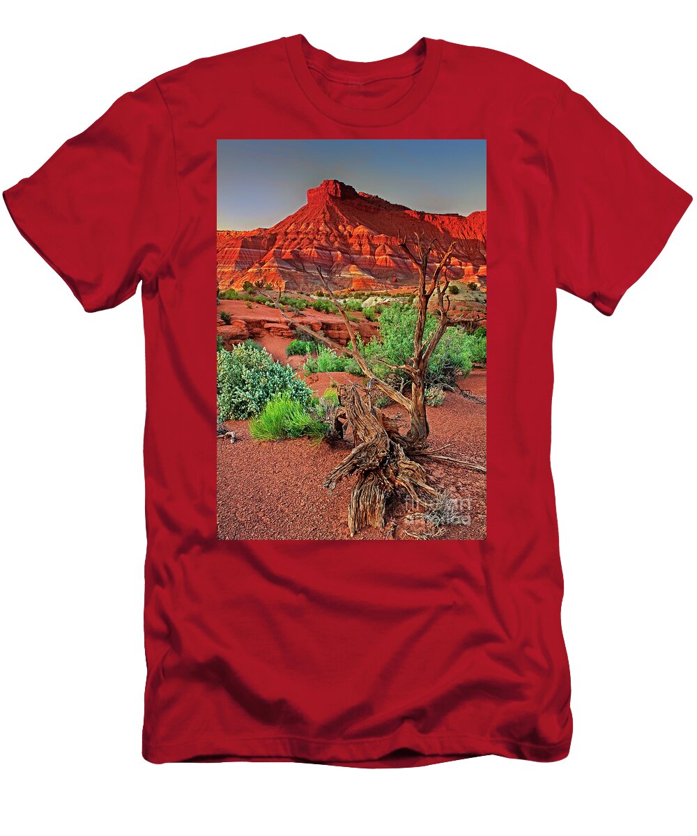 North America T-Shirt featuring the photograph Red Rock Butte And Juniper Snag Paria Canyon Utah by Dave Welling