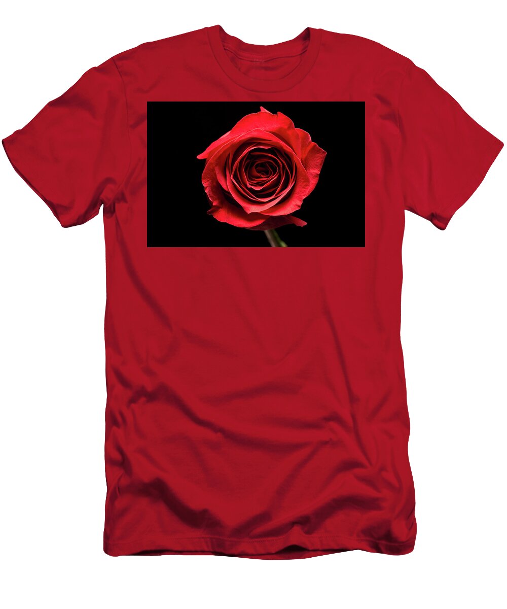Blossom T-Shirt featuring the photograph Red rose flower isolated on black background by Philippe Lejeanvre